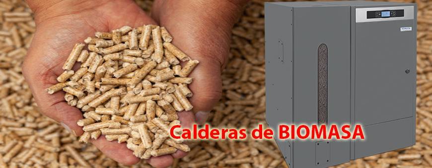 Calderas de Biomasa, Calienta tu hogar con Pellets, Hueso de Aceituna