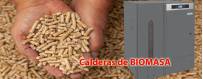 Calderas de Biomasa, Calienta tu hogar con Pellets, Hueso de Aceituna